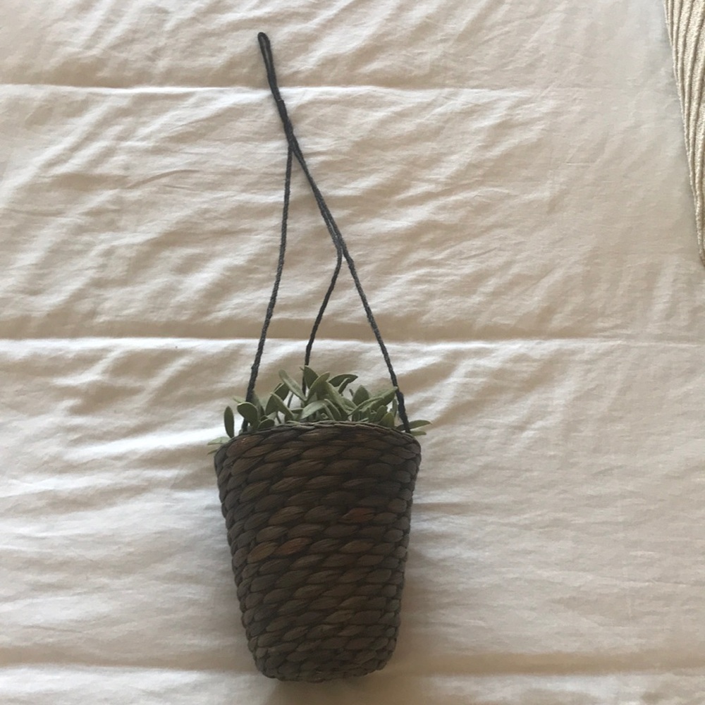 Set of 2 hanging IKEA plants